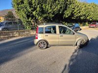 Usata Fiat Panda Dynamic 60 CV (44 kW) 2009 Beige Utilitaria