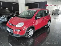 Usata Fiat Panda S 70 CV (51 kW) 2025 Rosso Utilitaria