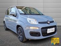 Usata Fiat Panda Easy 95 CV (69 kW) 2017 Grigio Utilitaria