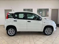 Usata Fiat Panda Easy 71 CV (52 kW) 2019 Bianco Utilitaria