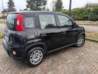 Usata Fiat Panda S 69 CV (50 kW) 2024 Nero Utilitaria