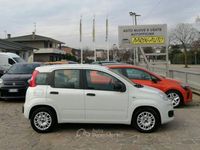 Usata Fiat Panda S 70 CV (51 kW) 2021 Bianco Berlina