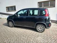 Usata Fiat Panda S 69 CV (50 kW) 2023 Utilitaria