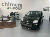 Usata Fiat Panda Young 69 CV (50 kW) 2015 Nero Utilitaria