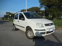 Usata Fiat Panda Dynamic 60 CV (44 kW) 2009 Bianco Utilitaria