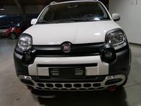 Usata Fiat Panda Cross Cross 89 CV (65 kW) 2015 Bianco Utilitaria