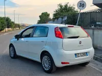 Usata Fiat Punto 75 CV (55 kW) 2016 Bianco Utilitaria