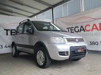 Usata Fiat Panda 4x4 60 CV (44 kW) 2010 Grigio Utilitaria