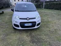 Usata Fiat Panda Easy 69 CV (50 kW) 2017 Utilitaria