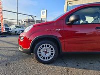 usata Fiat Panda 1.0 FireFly S&S Hybrid nuova a Pianezza