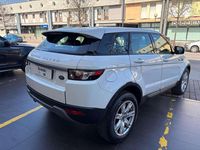 Usata Land Rover Range Rover evoque Pure 150 CV (110 kW) 2013 Fuji withe SUV