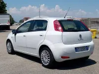 Usata Fiat Punto Evo 75 CV (55 kW) 2015 Bianco Utilitaria