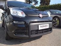 usata Fiat Panda Cross 1.0 FireFly S&S Hybrid City usato