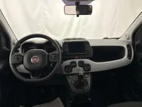 Usata Fiat Panda Cross Cross 69 CV (50 kW) 2021 Bianco gelato Utilitaria