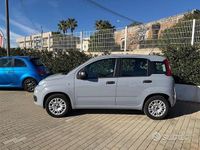 Usata Fiat Panda Easy 69 CV (50 kW) 2019 Grigio Utilitaria