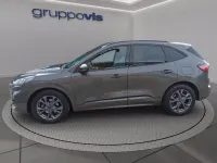 Usata Ford Kuga ST-Line 120 CV (88 kW) 2023 Magnetic grey SUV