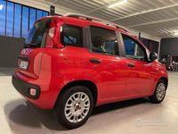 usata Fiat Panda 1.2 Gpl NEOPATENTATI