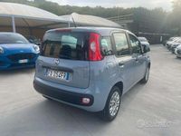 Usata Fiat Panda Easy 69 CV (50 kW) 2019 Grigio Utilitaria