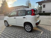 Usata Fiat Panda Easy 71 CV (52 kW) 2020 Bianco Utilitaria