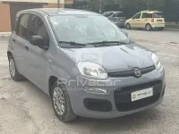 Usata Fiat Panda S 70 CV (51 kW) 2021 Grigio Utilitaria