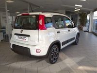 usata Fiat Panda Cross 1.0 FireFly S&S Hybrid City usato