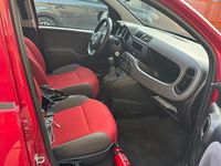Usata Fiat Panda Pop 80 CV (58 kW) 2015 Rosso Utilitaria