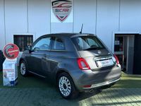 Usata Fiat 500 Lounge 69 CV (50 kW) 2019 Grigio