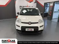 Usata Fiat Panda City Life 69 CV (50 kW) 2022 Bianco Utilitaria