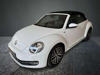 Usata VW Beetle Cabriolet Allstar 105 CV (77 kW) 2016 Bianco Cabrio