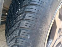 Usata Fiat Panda 4x4 2010 Utilitaria