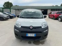 Usata Fiat Panda 4x4 Pop 85 CV (62 kW) 2021 Bianco Utilitaria