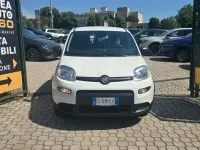 Usata Fiat Panda City Life 69 CV (50 kW) 2023 Utilitaria