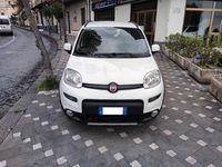Usata Fiat Panda 4x4 75 CV (55 kW) 2013 Bianco Utilitaria