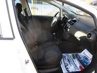 usata Fiat Punto 1.3 MJT 5 porte MOLTO BELLA 2017