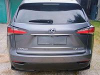 Usata Lexus NX300h Executive Line 155 CV (114 kW) 2014 SUV