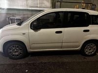 Usata Fiat Panda Easy 69 CV (50 kW) 2019 Bianco Utilitaria
