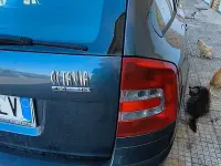 Usata Skoda Octavia 140 CV (102 kW) 2008 Grigio Station wagon
