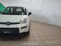 Usata Fiat Panda S 70 CV (51 kW) 2024 Bianco Utilitaria