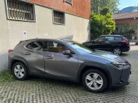 Usata Lexus UX Business Edition 145 CV (106 kW) 2019 Grigio SUV