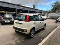 Usata Fiat Panda Easy 85 CV (62 kW) 2018 Bianco Utilitaria