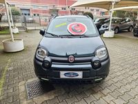 Usata Fiat Panda Cross 69 CV (50 kW) 2025 Metallizzato  verde Utilitaria