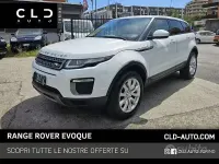 Usata Land Rover Range Rover evoque 150 CV (110 kW) 2016 Bianco SUV