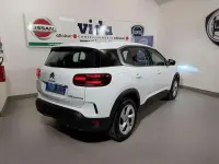 Usata Citroën C5 Feel 131 CV (96 kW) 2023 Natural white pastel Berlina
