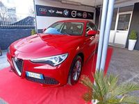 usata Alfa Romeo Stelvio 2.2 Turbodiesel 160 CV AT8 RW