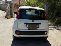 Usata Fiat Panda S 69 CV (50 kW) 2021 Bianco Utilitaria