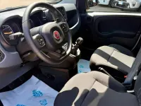 Usata Fiat Panda S 69 CV (50 kW) 2024 Bianco Utilitaria