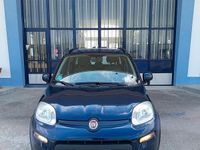 Usata Fiat Panda 4x4 S 86 CV (63 kW) 2017 Blu Utilitaria