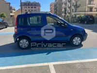 Usata Fiat Panda Dynamic 60 CV (44 kW) 2008 Bluazzurro Utilitaria