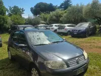 Usata Fiat Punto Active 60 CV (44 kW) 2009 Grigio Utilitaria