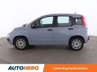 Usata Fiat Panda Easy 69 CV (50 kW) 2019 Grigio Utilitaria